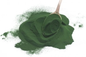 Algae Powder