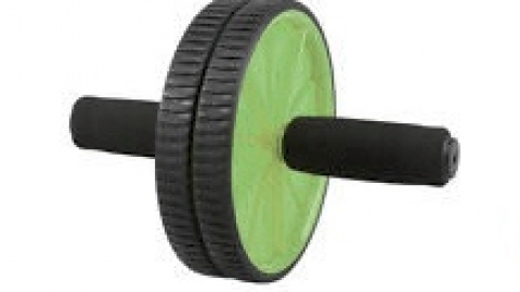 Duo Exercise Wheel for Auction – Closed